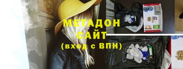 индика Каменка
