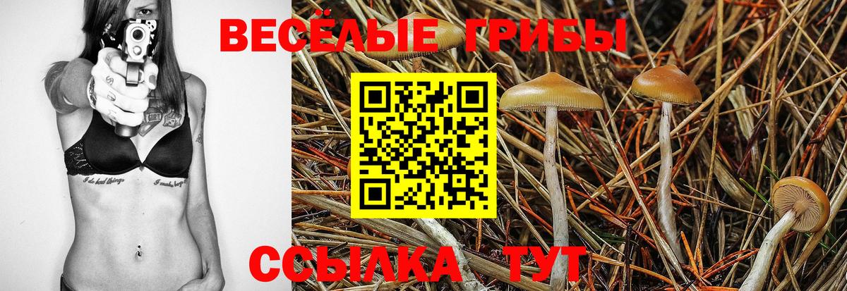 как найти   Вход с VPN  Кулебаки  Галлюциногенные грибы Cubensis 